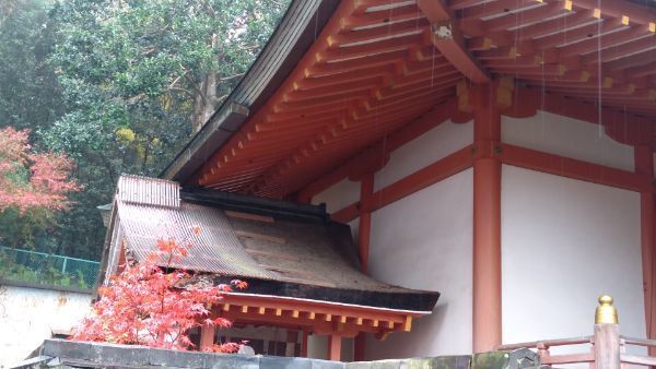 f:id:hineriman:20220227060150j:plain