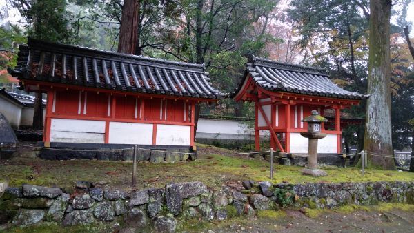 f:id:hineriman:20220227060453j:plain