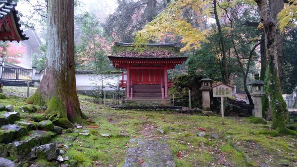 f:id:hineriman:20220227060543j:plain