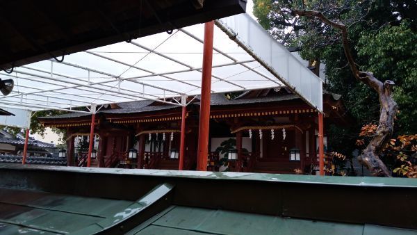 f:id:hineriman:20220227062414j:plain