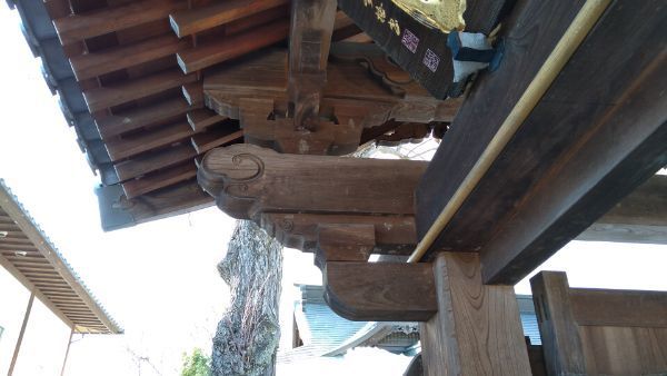 f:id:hineriman:20220306083915j:plain