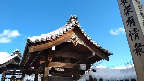 f:id:hineriman:20220306084902j:plain