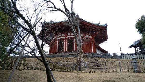 f:id:hineriman:20220326185139j:plain