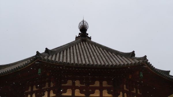 f:id:hineriman:20220326185514j:plain