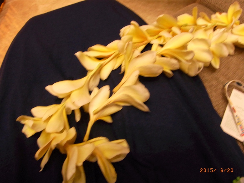 f:id:hinichijou:20190515145830j:image