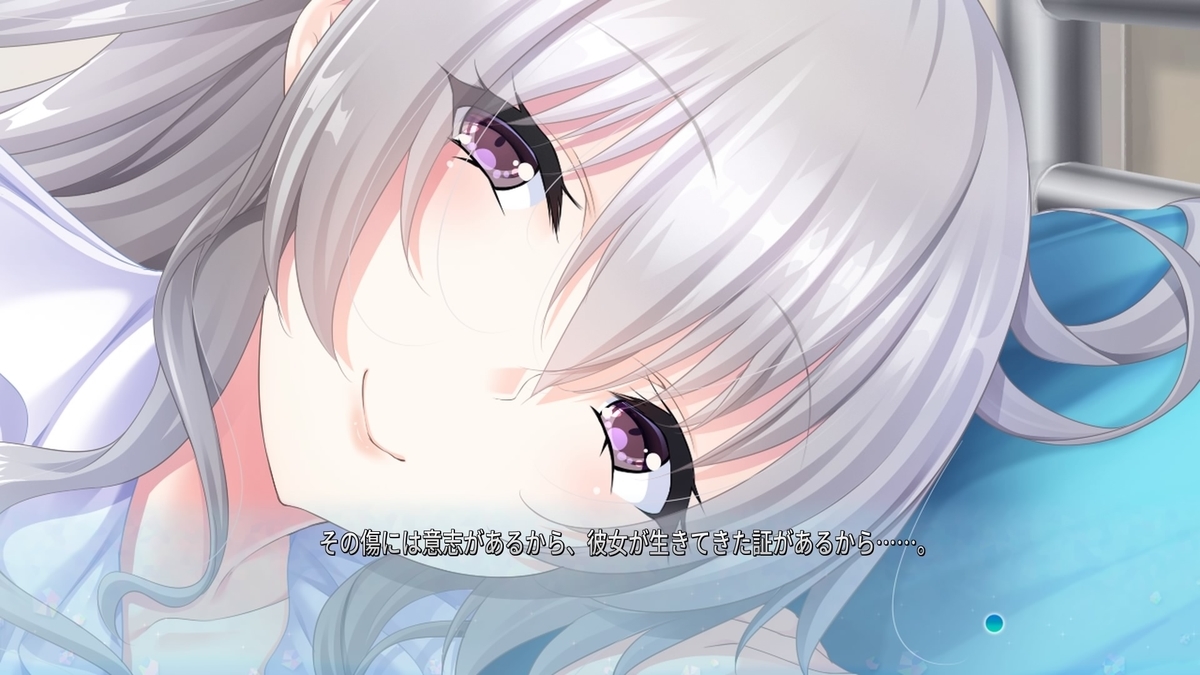 f:id:hinoasuno:20200619165517j:plain f:id:hinoasuno:20200619165517j:plain