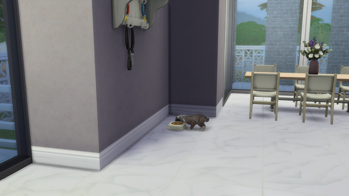 f:id:hinode123:20210318002824p:plain