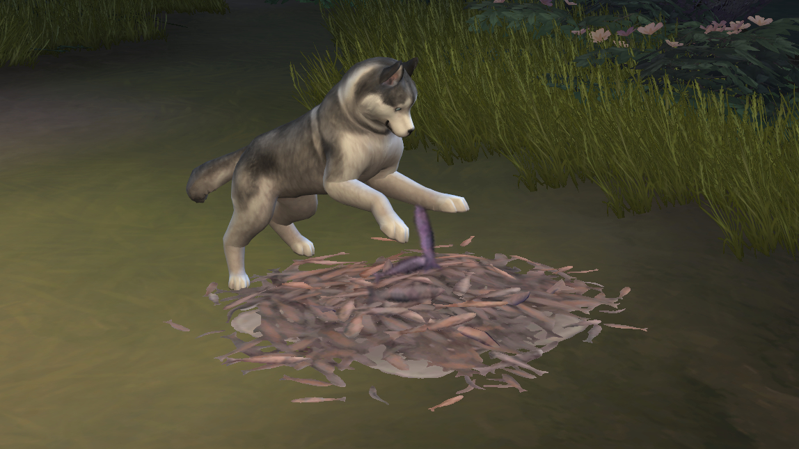 f:id:hinode123:20210913133815j:plain