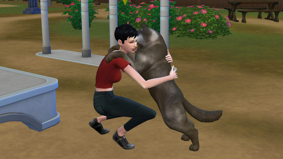 f:id:hinode123:20210913140244j:plain