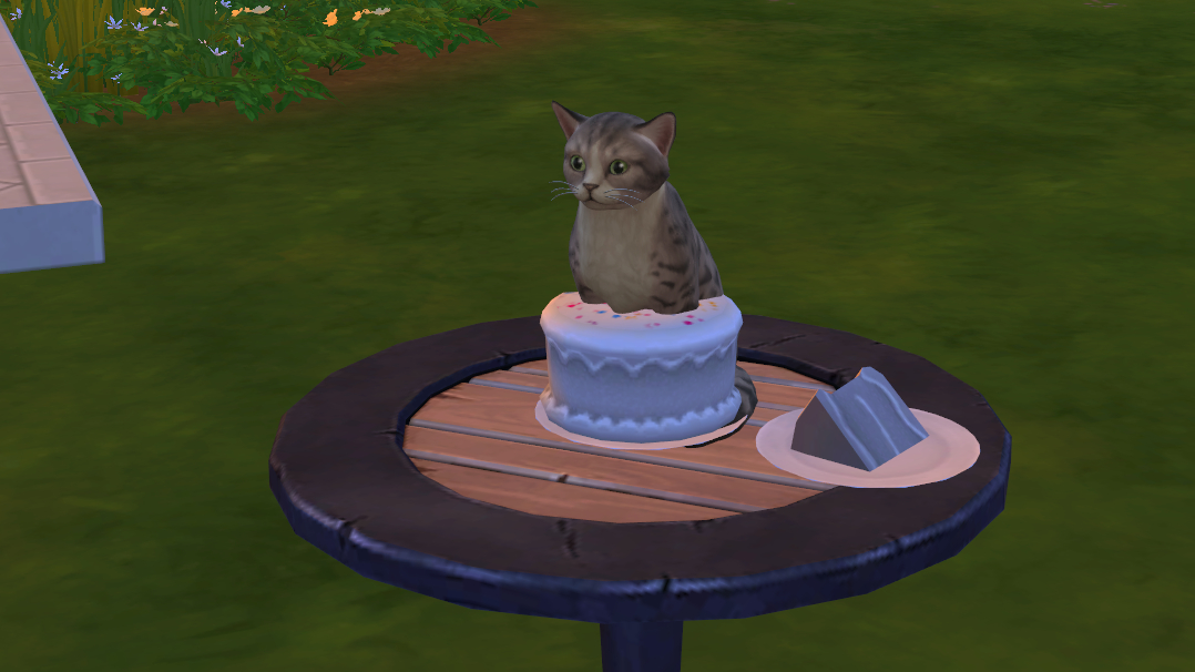 f:id:hinode123:20210918191913j:plain