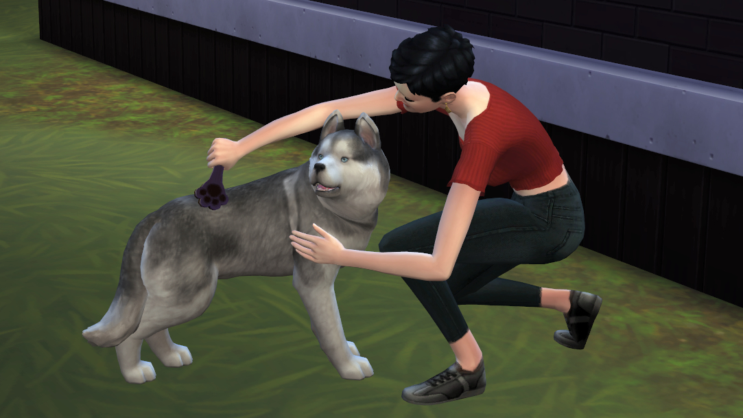 f:id:hinode123:20210930133522j:plain