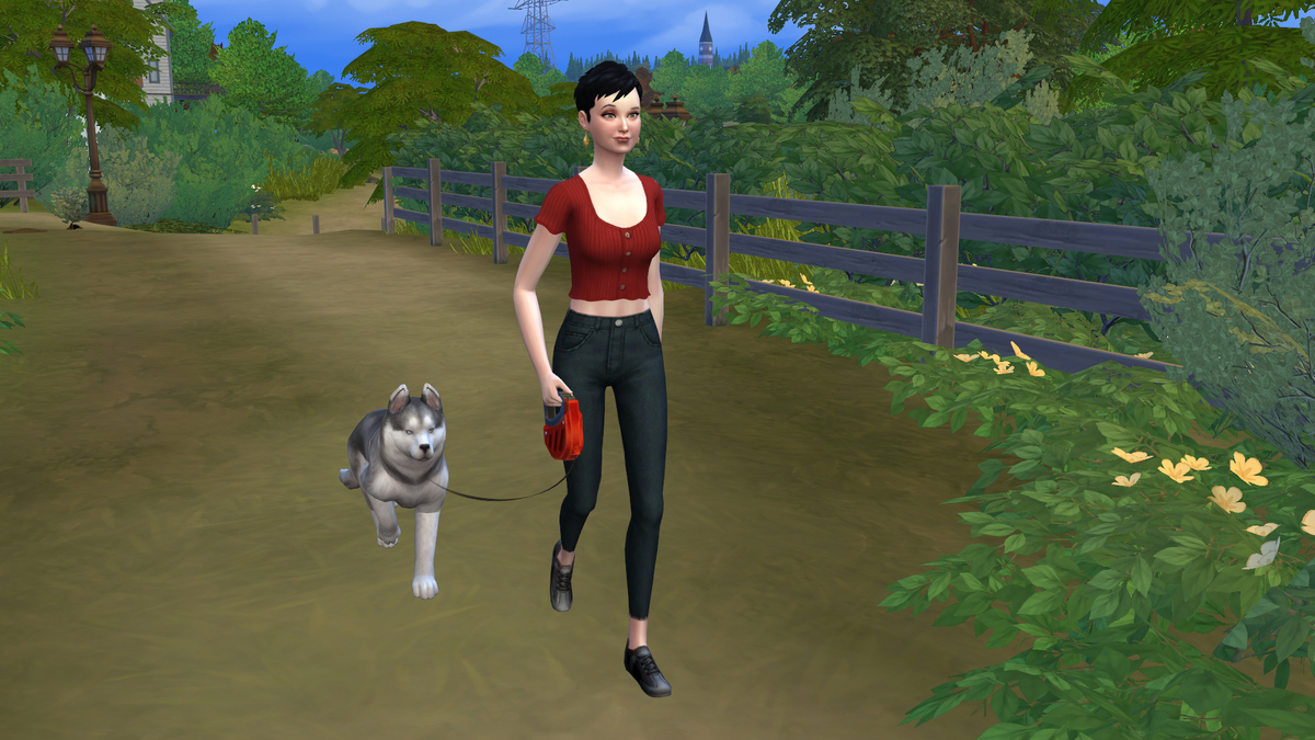 f:id:hinode123:20211003132505j:plain