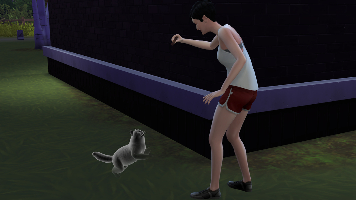 f:id:hinode123:20211003133052j:plain