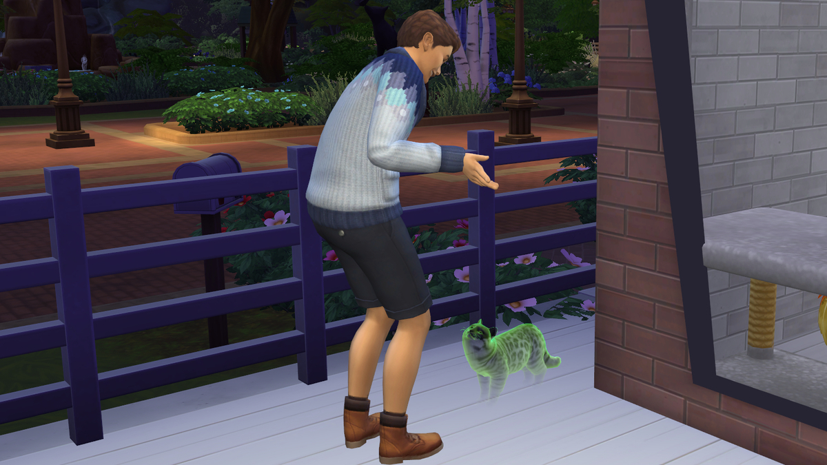 f:id:hinode123:20211003133053j:plain