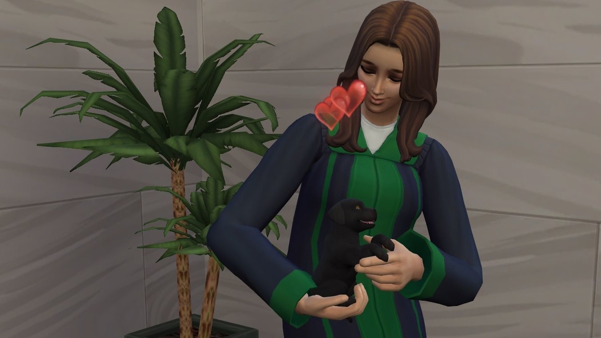 f:id:hinode123:20211027194633j:plain