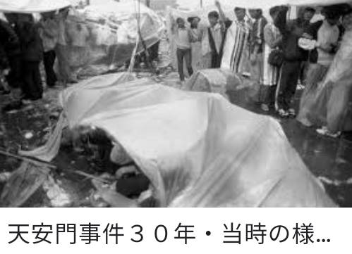 f:id:hinode_shinshi:20210702175326j:plain