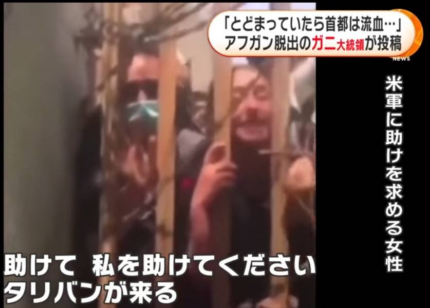 f:id:hinode_shinshi:20210825125800j:plain