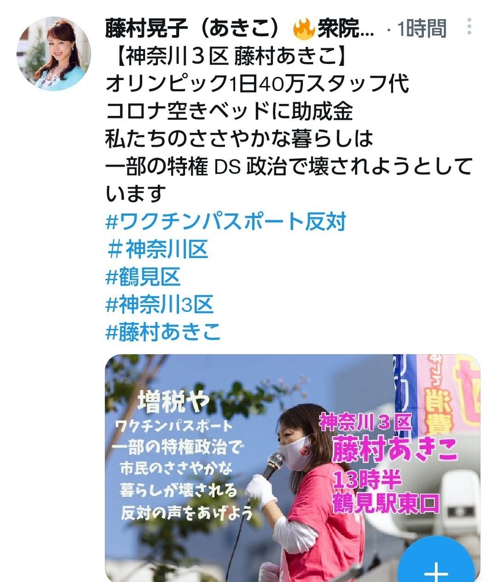 f:id:hinode_shinshi:20211031003759j:plain