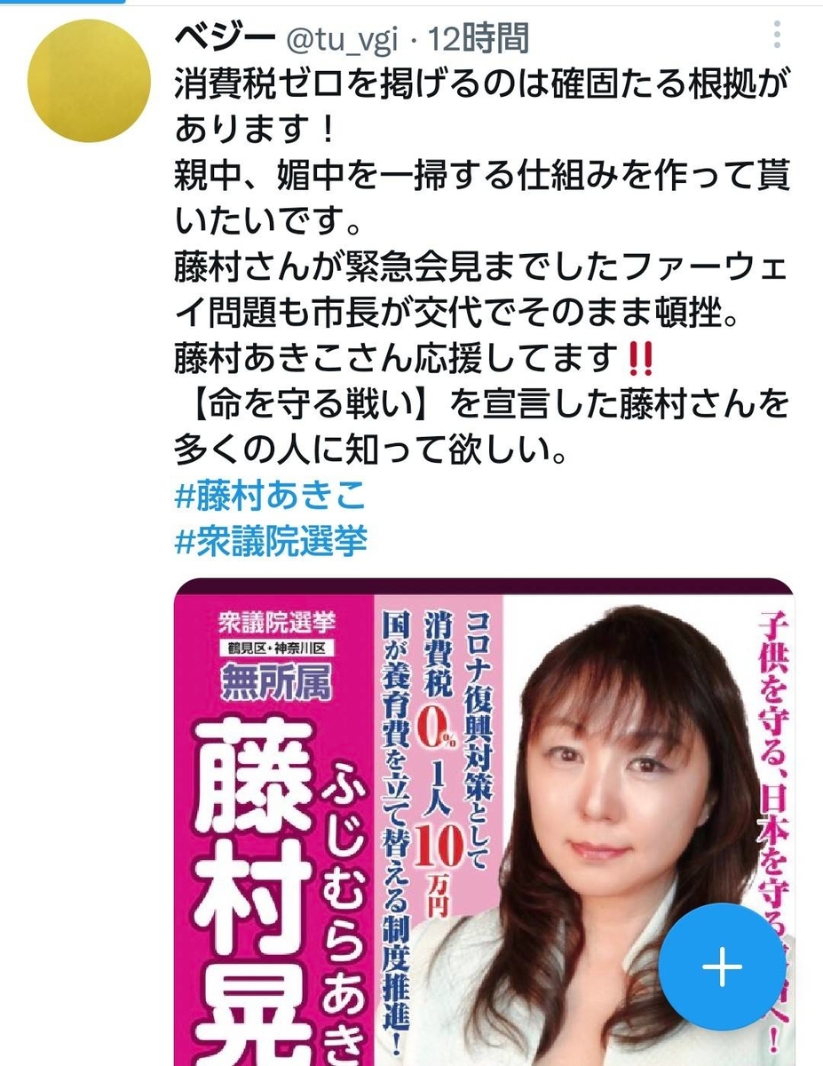 f:id:hinode_shinshi:20211031003801j:plain