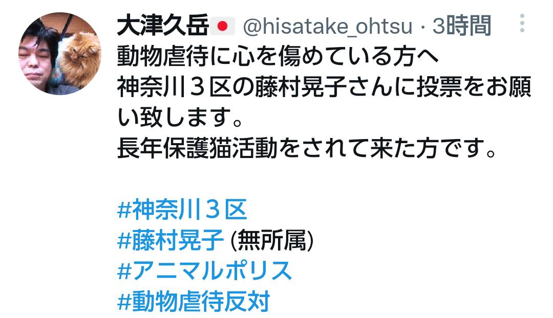 f:id:hinode_shinshi:20211031003804j:plain