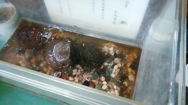f:id:hinodemaeinspection:20190324141507j:plain f:id:hinodemaeinspection:20190324141507j:plain