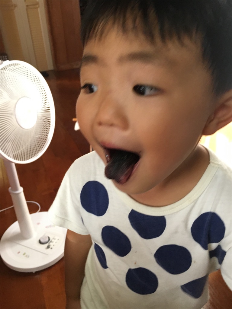 f:id:hinohikarilife:20200815111622j:image f:id:hinohikarilife:20200815111622j:image
