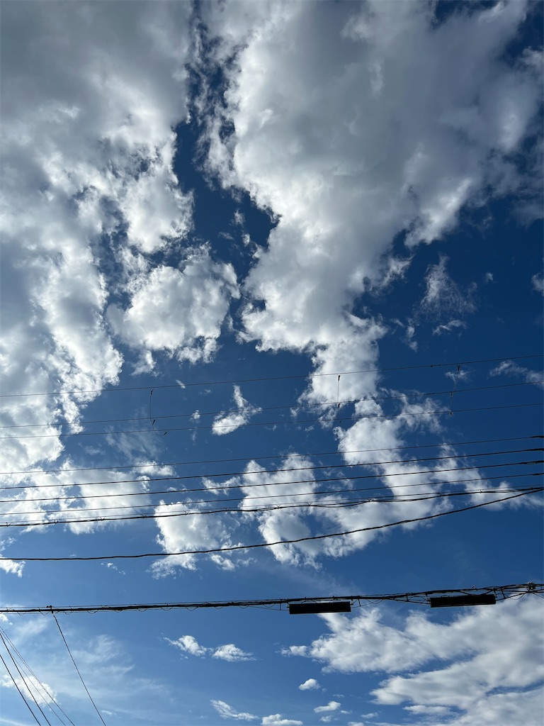 f:id:hinoki_a:20220906153759j:image