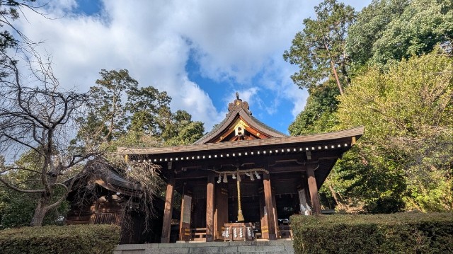 f:id:hinoki_kaonashi:20250111130443j:image