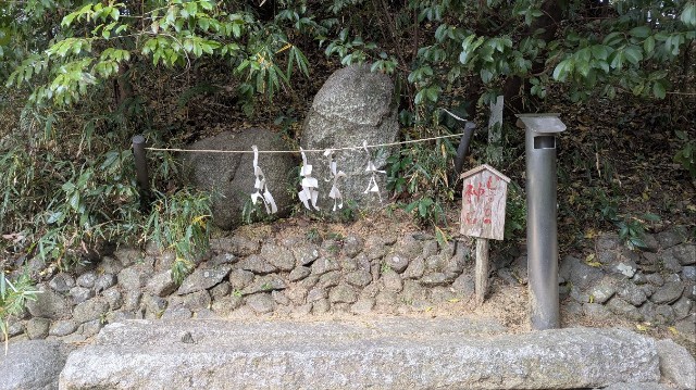 f:id:hinoki_kaonashi:20250111131543j:image