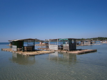 f:id:hinokiforest:20120224151755j:image