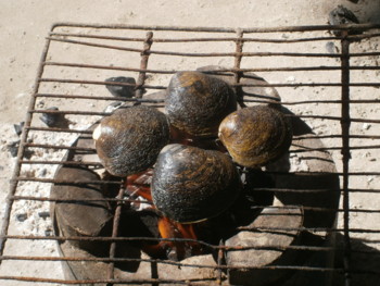 f:id:hinokiforest:20120224162904j:image