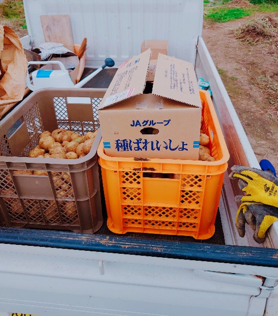 f:id:hinomoto028:20240610090211j:image