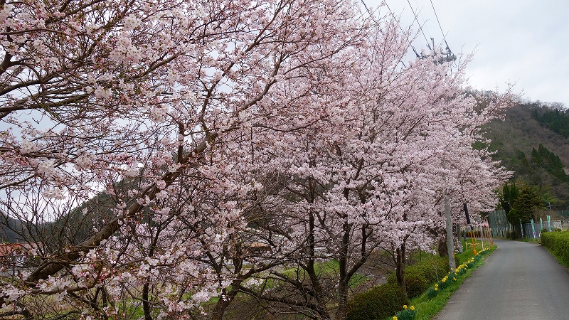 f:id:hinui1554:20170408234927j:image
