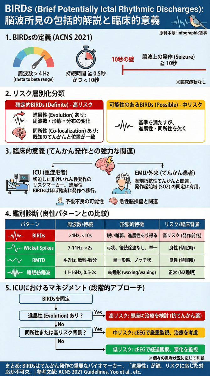 脳波所見BIRDs (Brief Potentially Ictal Rhythmic Discharges)  の臨床的意義と実践的アプローチ：ACNS 2021ガイドラインに基づく総説 - 医知創造ラボ ～脳神経内科医がAIで紡ぐ最新医療情報～