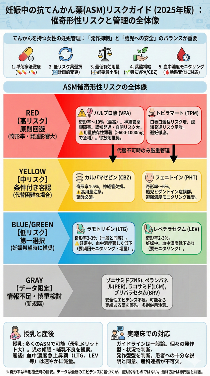 臨床中薬解説 妊娠中の抗てんかん薬と催奇形性リスク：最新エビデンスとガイドライン