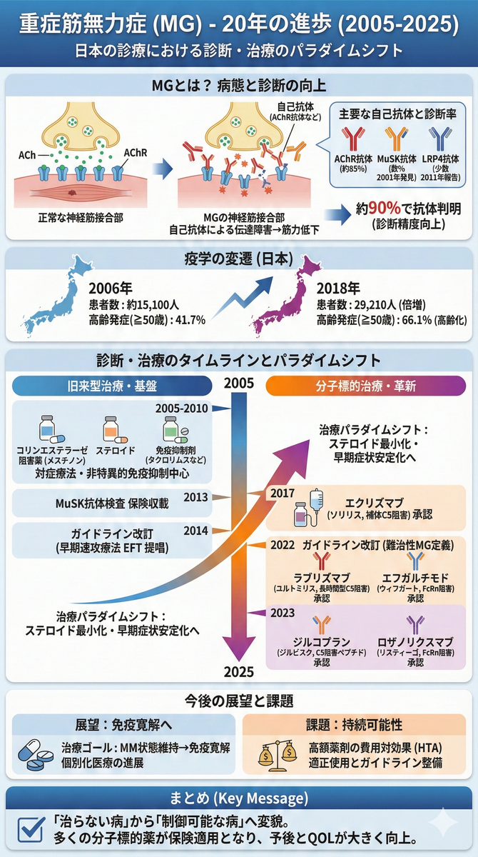 エイジング・ボディ 老化と神経筋機能障害 重症筋無力症 ― 日本の保険適応で読み解く20年の進歩 - 医知創造ラボ