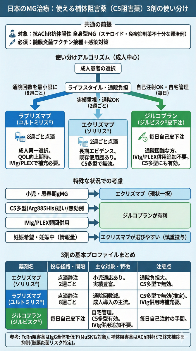 重症筋無力症（MG）に使える補体阻害薬 ― エクリズマブ・ラブリズマブ