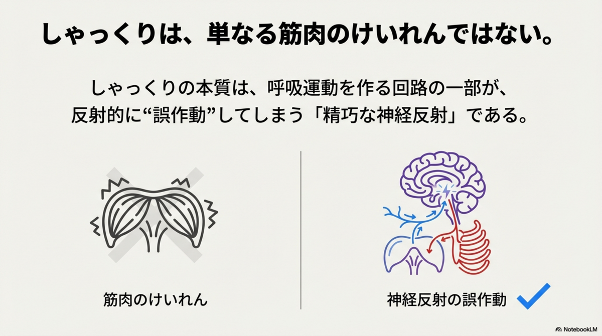 しゃっくりが止まらない原因と治療｜神経反射のメカニズムと止め方の医学的根拠 - 医知創造ラボ ～脳神経内科医がAIで紡ぐ最新医療情報～