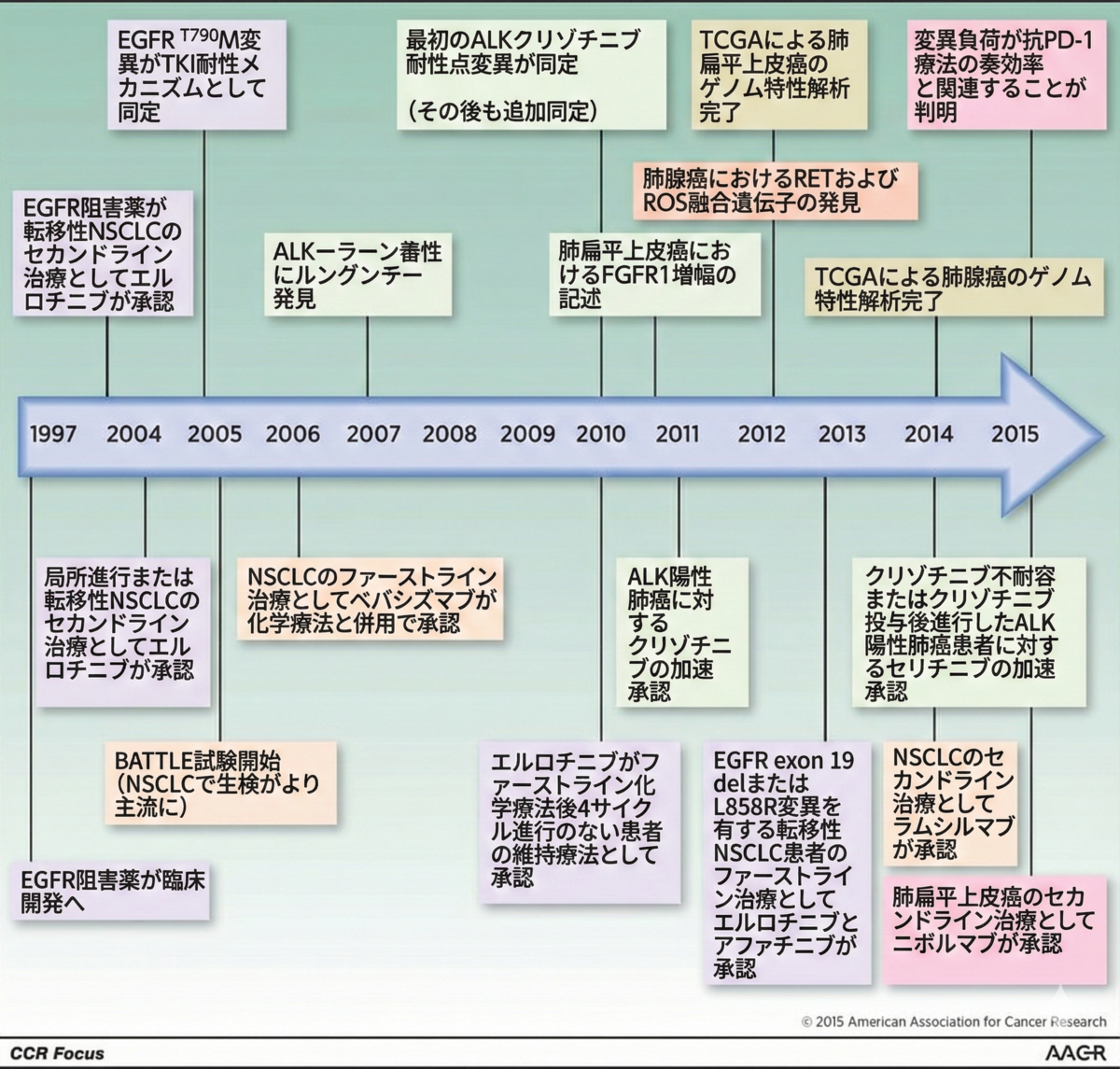 肺癌化学療法の進歩（2006–2026）：非小細胞肺癌と小細胞肺癌の20年の