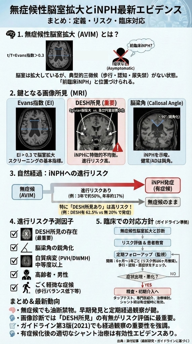無症候性脳室拡大と正常圧水頭症:最新エビデンス総説