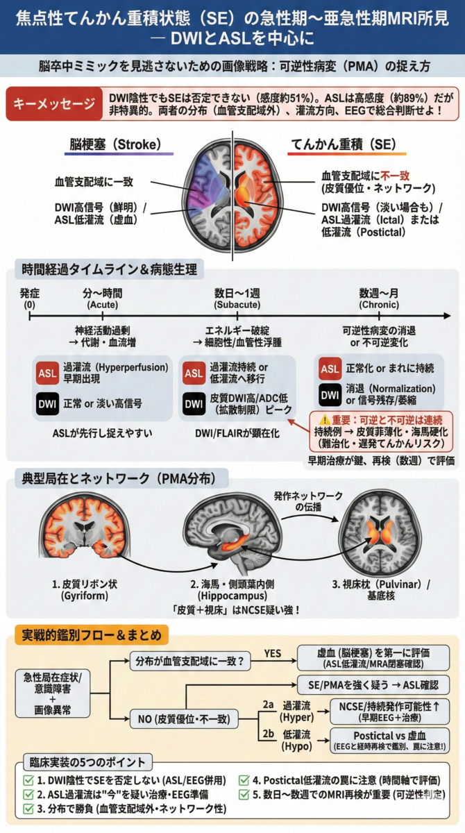 焦点性てんかん重積状態の急性期から亜急性期におけるMRI所見 ― DWIと