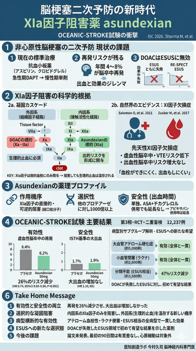 OCEANIC-STROKE試験の衝撃 ― XIa因子阻害薬asundexianが脳梗塞二次予防を変える - 医知創造ラボ ～脳神経内科医が ...