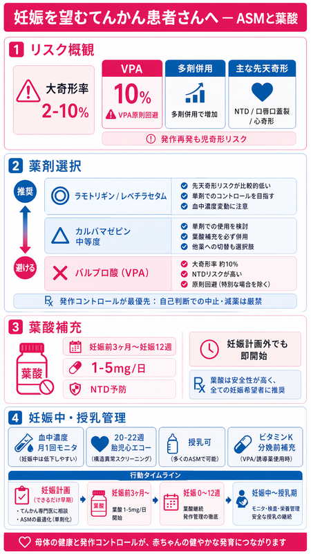 妊娠とてんかんのインフォグラフィック ― VPA回避/LTG/LEV第一選択、葉酸1-5mg妊娠前3ヶ月〜、血中濃度モニタ/胎児エコーをピンク青系で整理