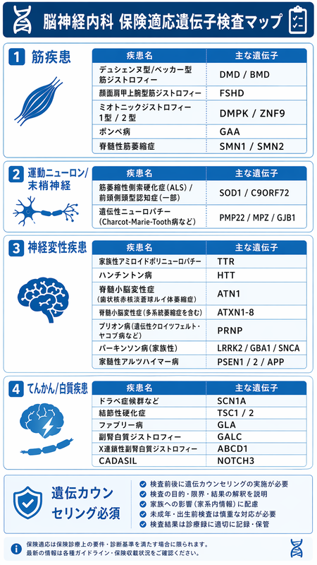 神経保険適応遺伝子検査のインフォグラフィック ― 筋ジス/SMA/ALS/CMT・HD/SCA/PD/AD・Dravet/TSC/Fabry/CADASILを青系で網羅整理