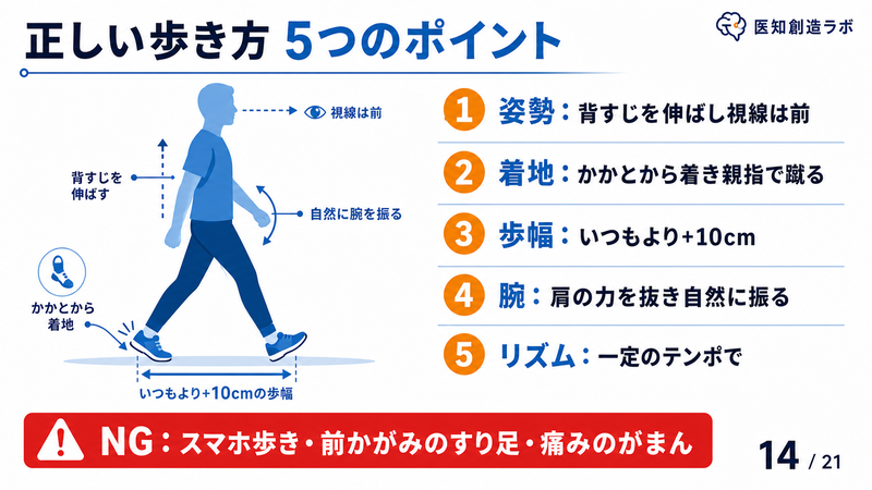 正しい歩き方5つのポイント(姿勢を伸ばす・かかとから着地・歩幅プラス10cm・自然な腕振り・一定のリズム)を図解したイラスト