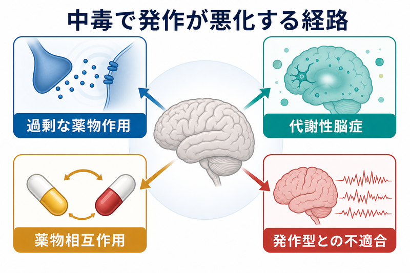 抗てんかん薬中毒で過剰なナトリウムチャネル遮断、代謝性脳症、薬物相互作用、発作型との不適合が発作悪化につながる概念図