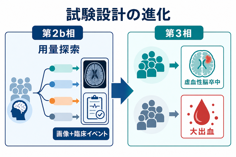 OCEANIC-STROKE試験の衝撃 ― XIa因子阻害薬asundexianが脳梗塞二次予防を変える - 医知創造ラボ ～脳神経内科医が ...