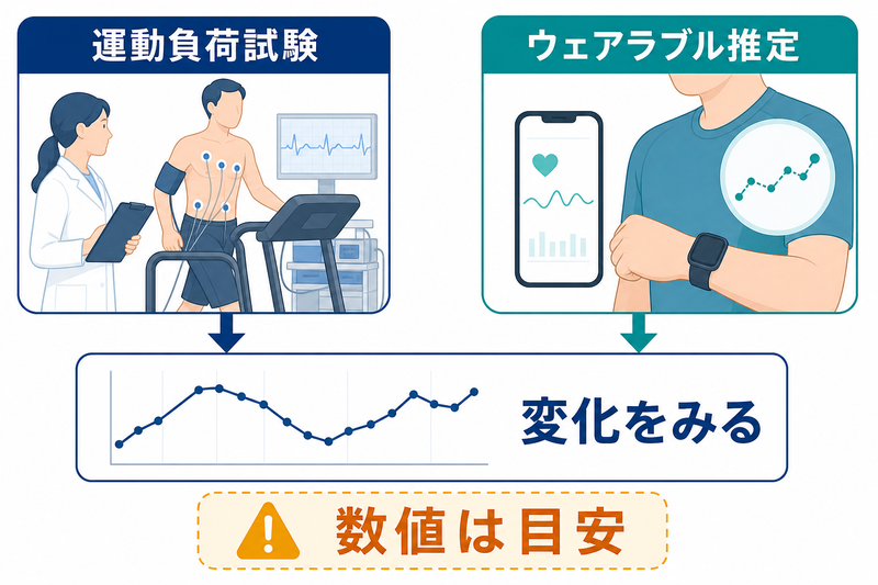 VO₂max（最大酸素摂取量）の医学的意義と測定・改善ガイド - 医知創造