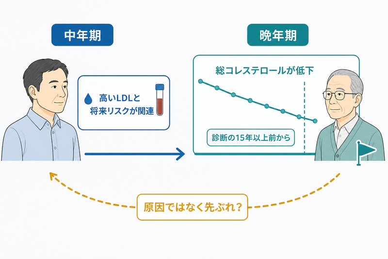 中年期の高いLDLと将来の認知症リスクの関連と、晩年期に総コレステロールが診断前から低下するという逆因果の可能性を分けて示す時間軸