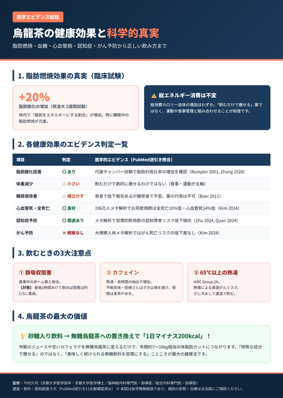 烏龍茶の健康効果と科学的エビデンスまとめ インフォグラフィック